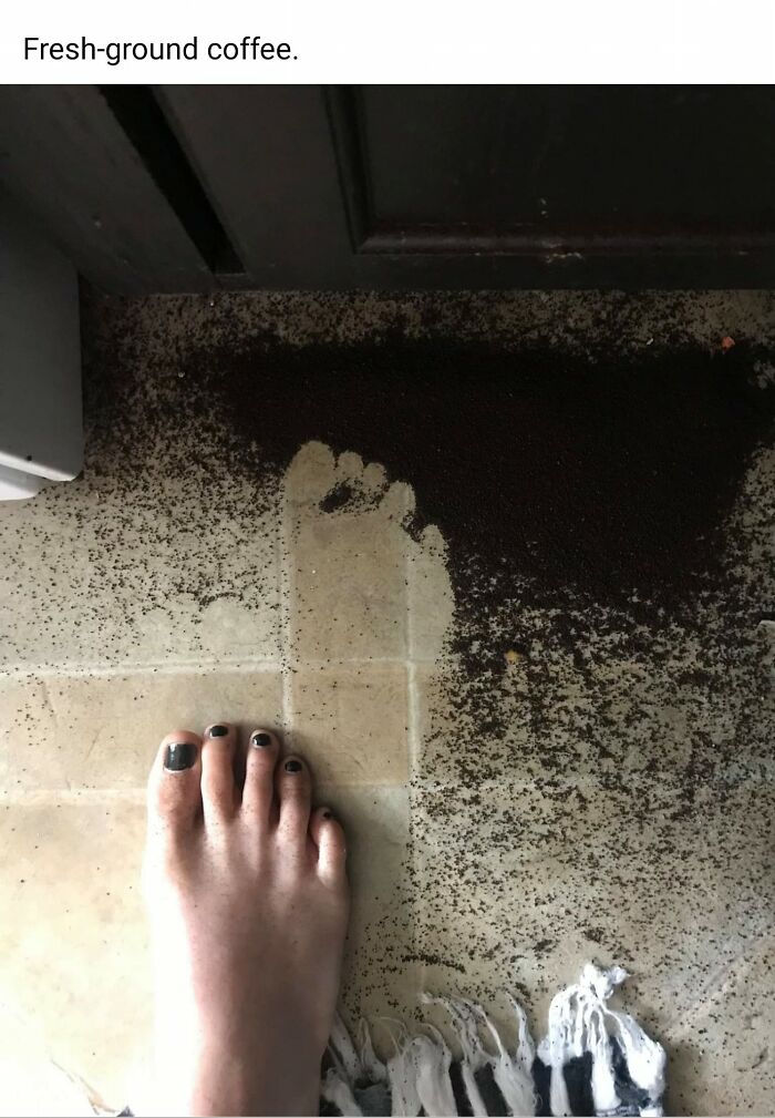 Unfortunate-Events-Pics