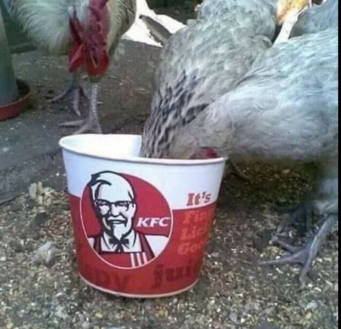 Unfortunate-Events-Pics