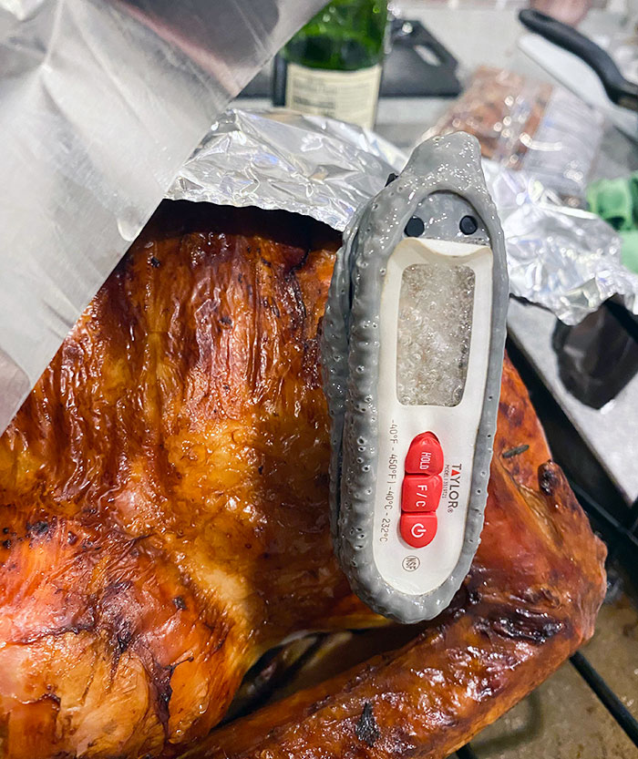Well Guess Who Forgot To Take The Thermometer Out When I Checked On The Turkey