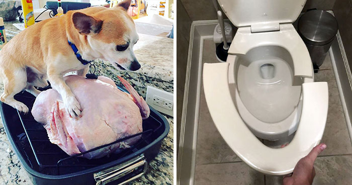 50 People Who Had A Terrible Time During Thanksgiving (New Pics)