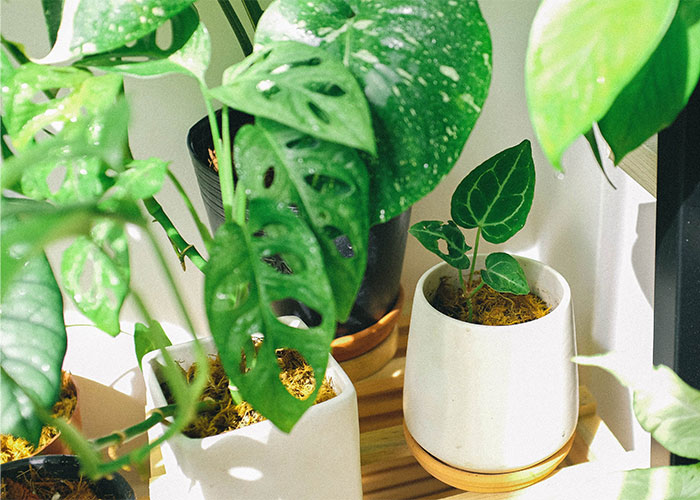 Lesser-Known Frugal Tips That Have The Biggest Impact, As Shared In This Online Thread