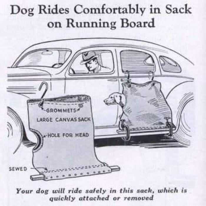 Safe And Comfortable!