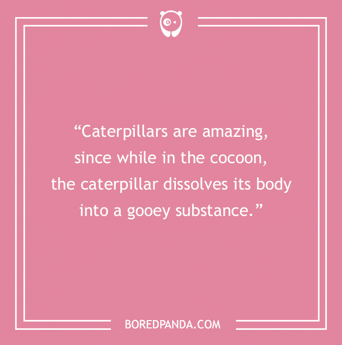 181 Mind-Boggling Weird Realizations That Actually Make Sense