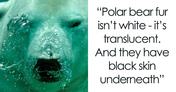 28 People Share The Weirdest Animal Facts They Know