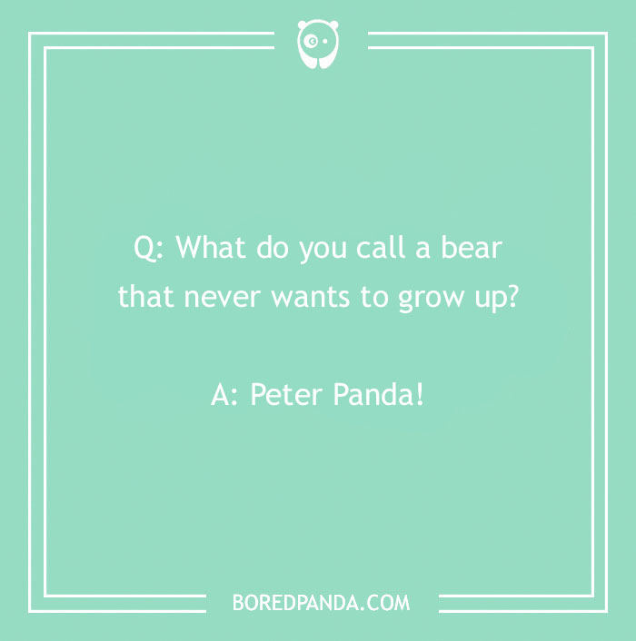 "What do you call" joke with a funny punchline, featuring a question about a bear.