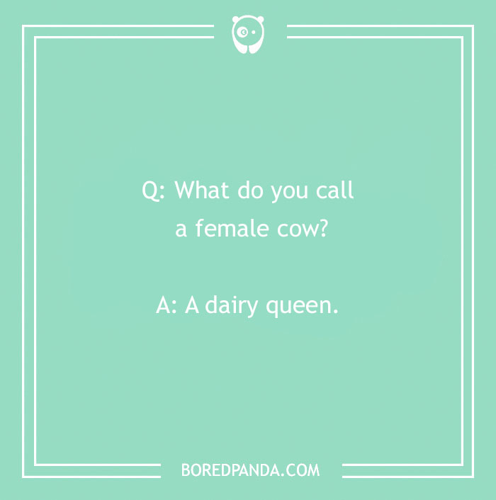 152 Funniest 'What Do You Call?' Jokes