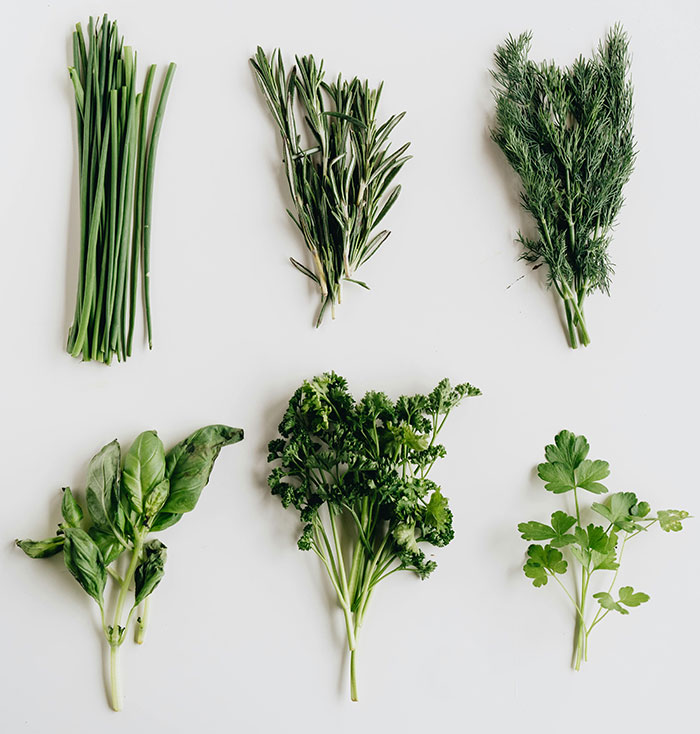 Fresh herbs including chives, rosemary, dill, basil, parsley, and cilantro on a white background. Fresh herbs including chives, rosemary, dill, basil, parsley, and cilantro on a white background.