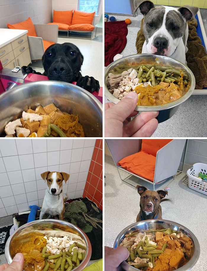 Thanksgiving Dinner At The Shelter