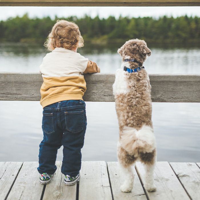 Baby and a dog standing on the pier