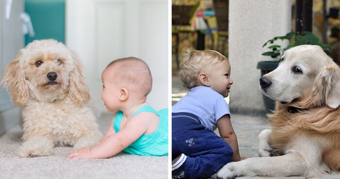 Why Do Dogs Like Babies? Exploring Protection and Understanding