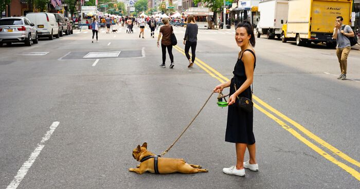 Why Do Dogs Sploot and What Does it Mean