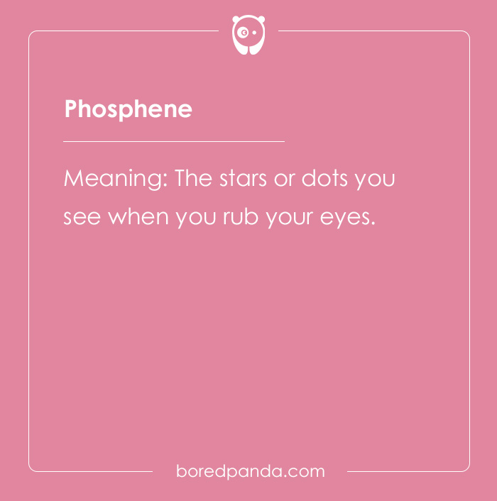 65 Cool Words You May Have Never Heard Of And Their Meanings