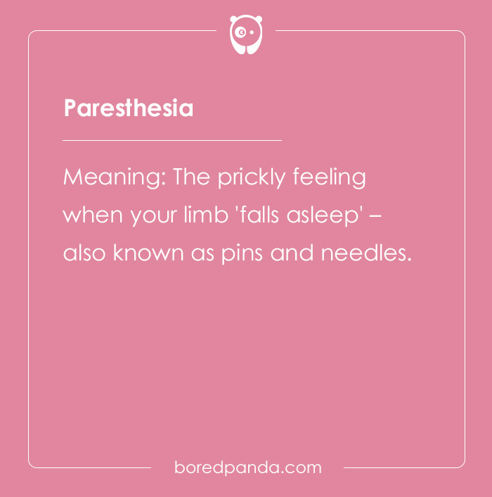 65 Cool Words You May Have Never Heard Of And Their Meanings