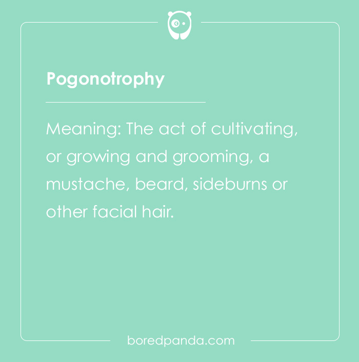 65 Cool Words You May Have Never Heard Of And Their Meanings