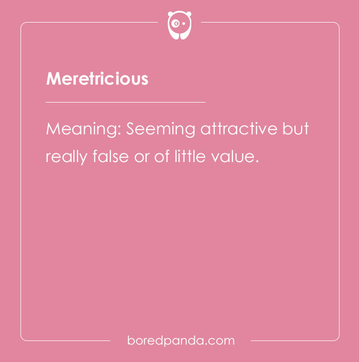 65 Cool Words You May Have Never Heard Of And Their Meanings