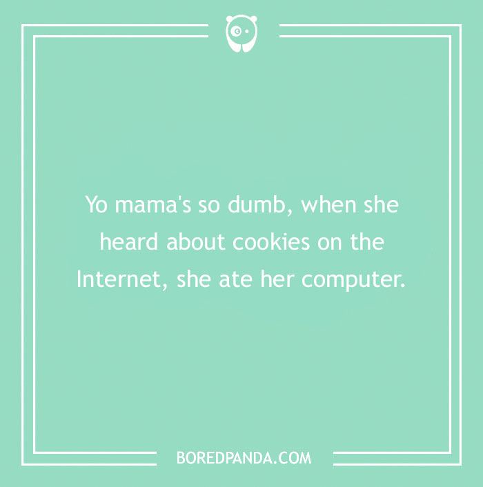 Text on humorous image about "Yo Mama" jokes, mentioning internet cookies and computer.