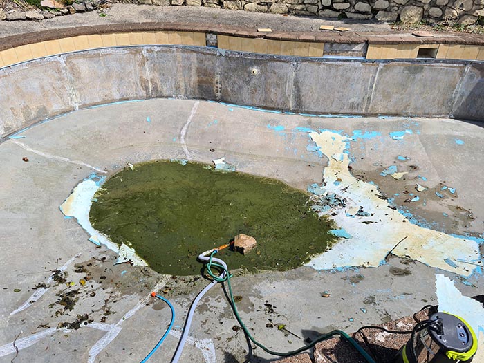 Person Wreaks Petty Revenge On Neighbor Who Kept Complaining About Their Pool By Painting It Green