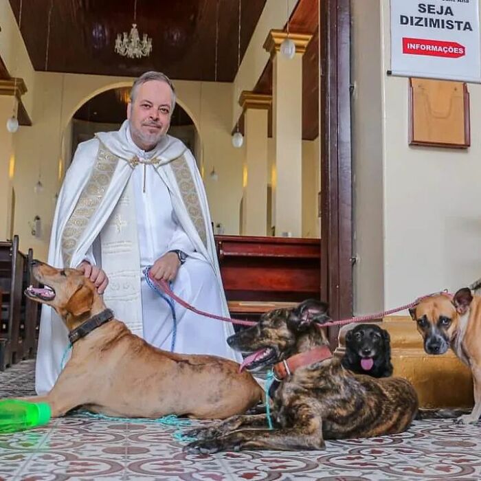 This Loving Priest Continues To Collect Stray Dogs At His Church, Encouraging People To Adopt Them