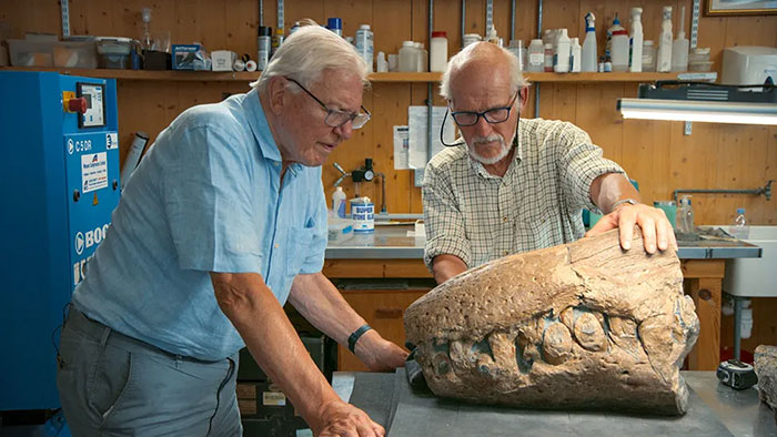 Men Discover Perfectly Preserved Skull Of Prehistoric Predator That Lived 150 Million Years Ago