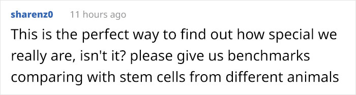 “Things Are About To Get Weird”: Scientists Use Human Brain Cells On Chip, It Can Now Do Simple Math