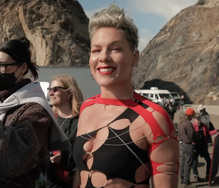 “I Still Wear A Leotard To Work”: Pink Slams Troll Calling Her “Old” On Social Media