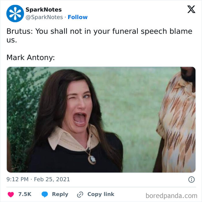 Sparknotes-Memes