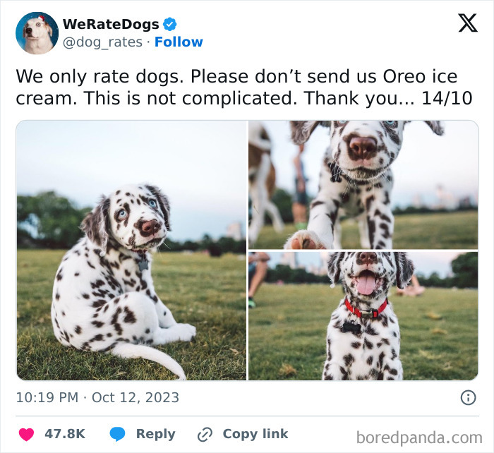 Rate-Cute-Dogs