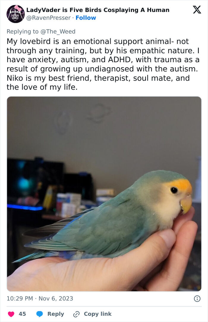 “Pets Are Family”: Family Therapist Explains Why Pets Mean So Much More Than That To Their Humans “Pets Are Family”: Family Therapist Explains Why Pets Mean So Much More Than That To Their Humans