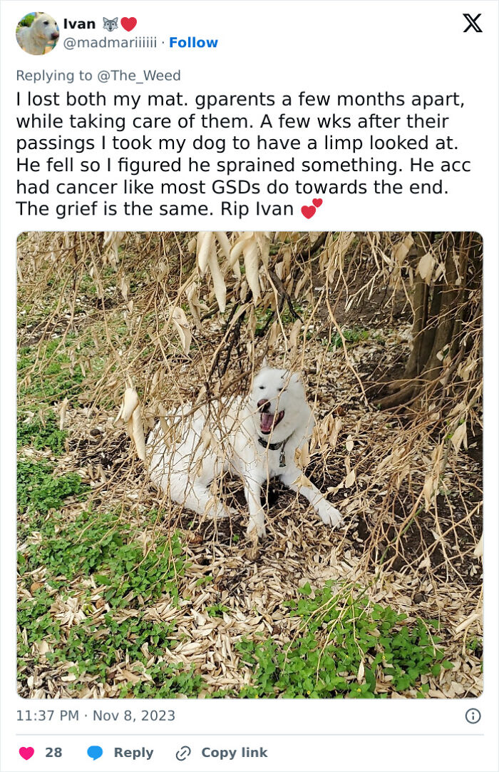 “Pets Are Family”: Family Therapist Explains Why Pets Mean So Much More Than That To Their Humans “Pets Are Family”: Family Therapist Explains Why Pets Mean So Much More Than That To Their Humans