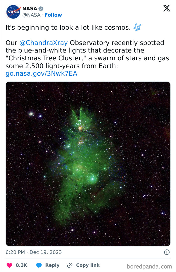 NASA Finds Cluster Of Young Stars That Looks Exactly Like A “Cosmic Christmas Tree”