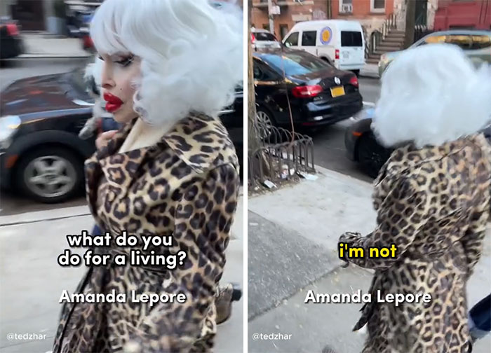 26 Celebrities That Got Asked ‘What Do You Do For A Living’ And The Way They Reacted