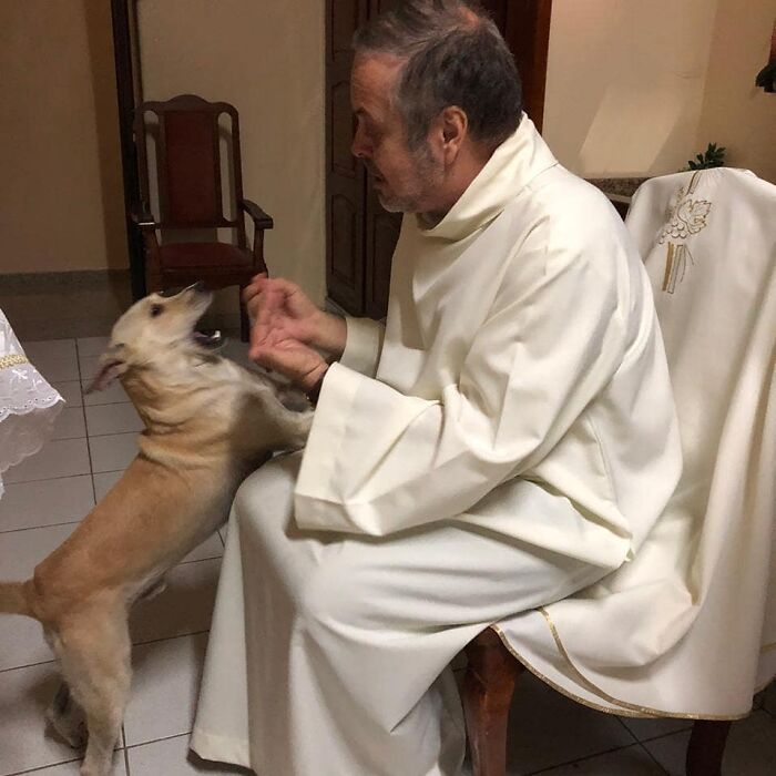 This Loving Priest Continues To Collect Stray Dogs At His Church, Encouraging People To Adopt Them