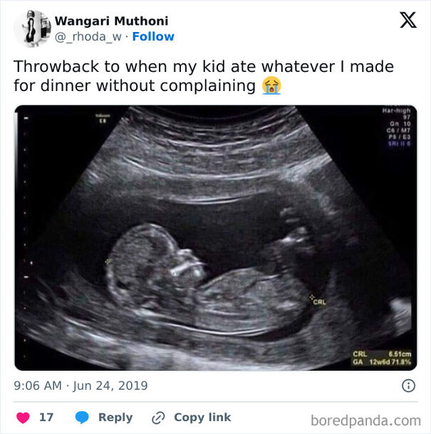 Baby picture in mothers belly meme about parenting
