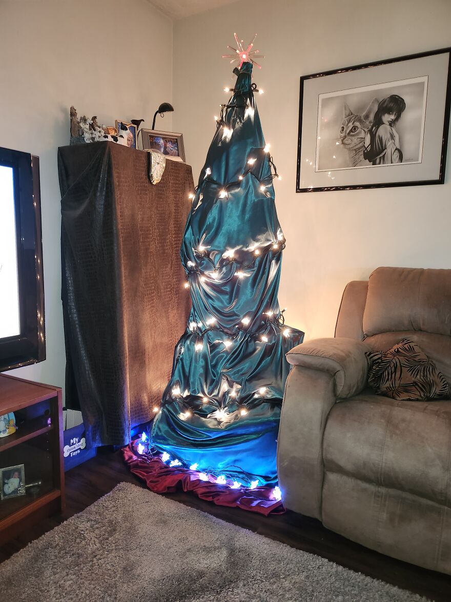 Kitten This Year. No Tree Kitten This Year. No Tree