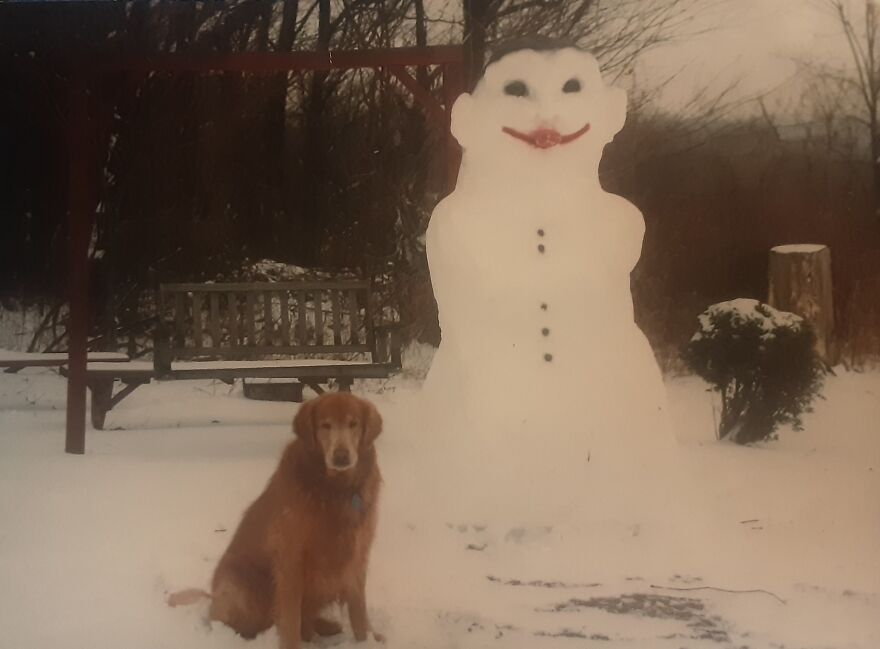 I Do Mostly Mini Snowmen Nowadays Due To Health But This Fullsize One Was Done Back In The Early 1990s. Not My Biggest Ever, But Close. Our Golden Retriever Loved Posing