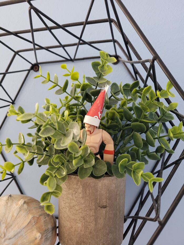 Part Of A Game We Play All Year, But He's Dressed Up For The Holiday