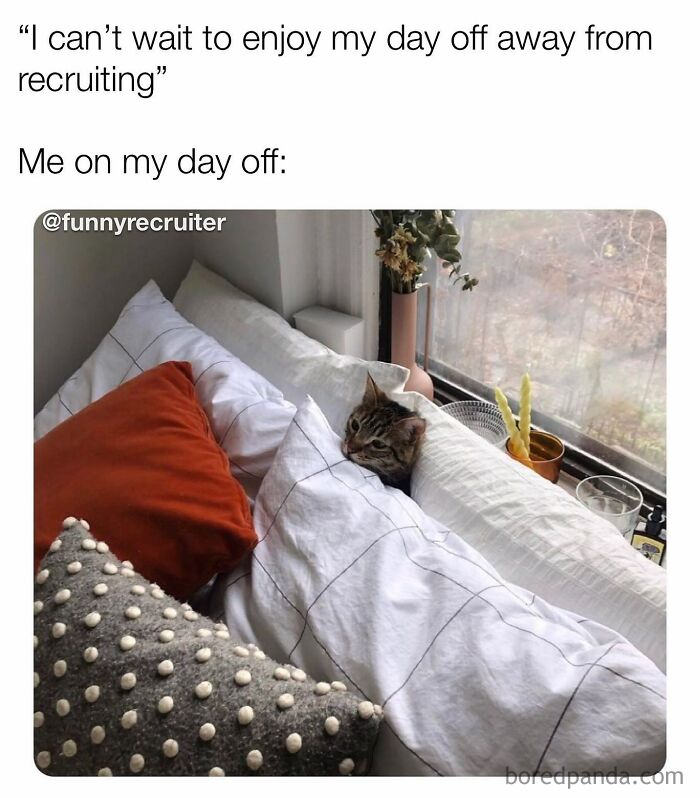 Funny-Recruiting-Memes