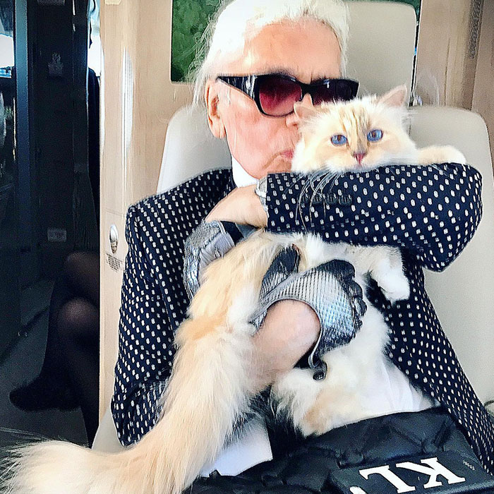 Bianca Censori Makes Heads Turn Again In Miami, Wearing A Tiny Silver String Ensemble With A Fake Cat