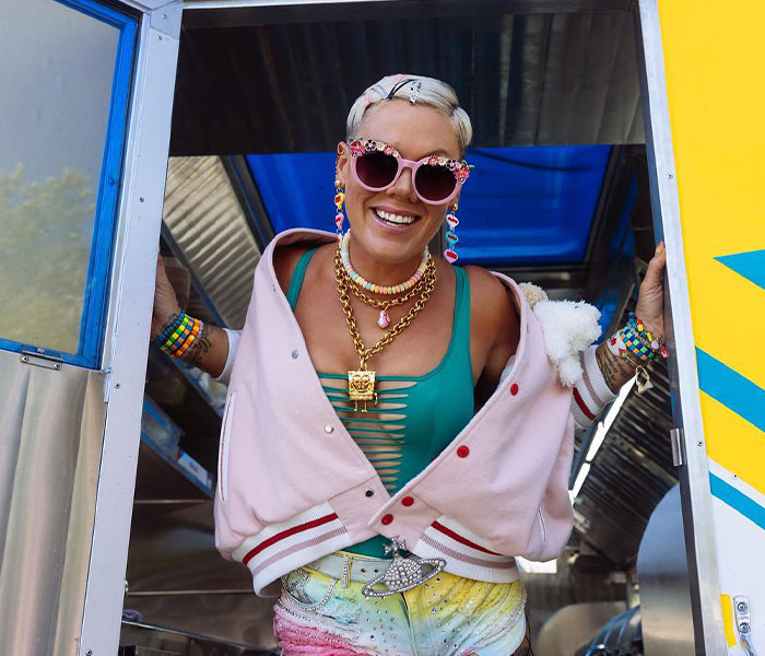 “I Still Wear A Leotard To Work”: Pink Slams Troll Calling Her “Old” On Social Media