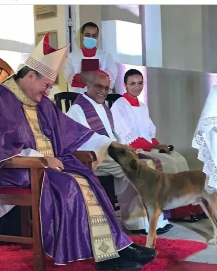 This Loving Priest Continues To Collect Stray Dogs At His Church, Encouraging People To Adopt Them