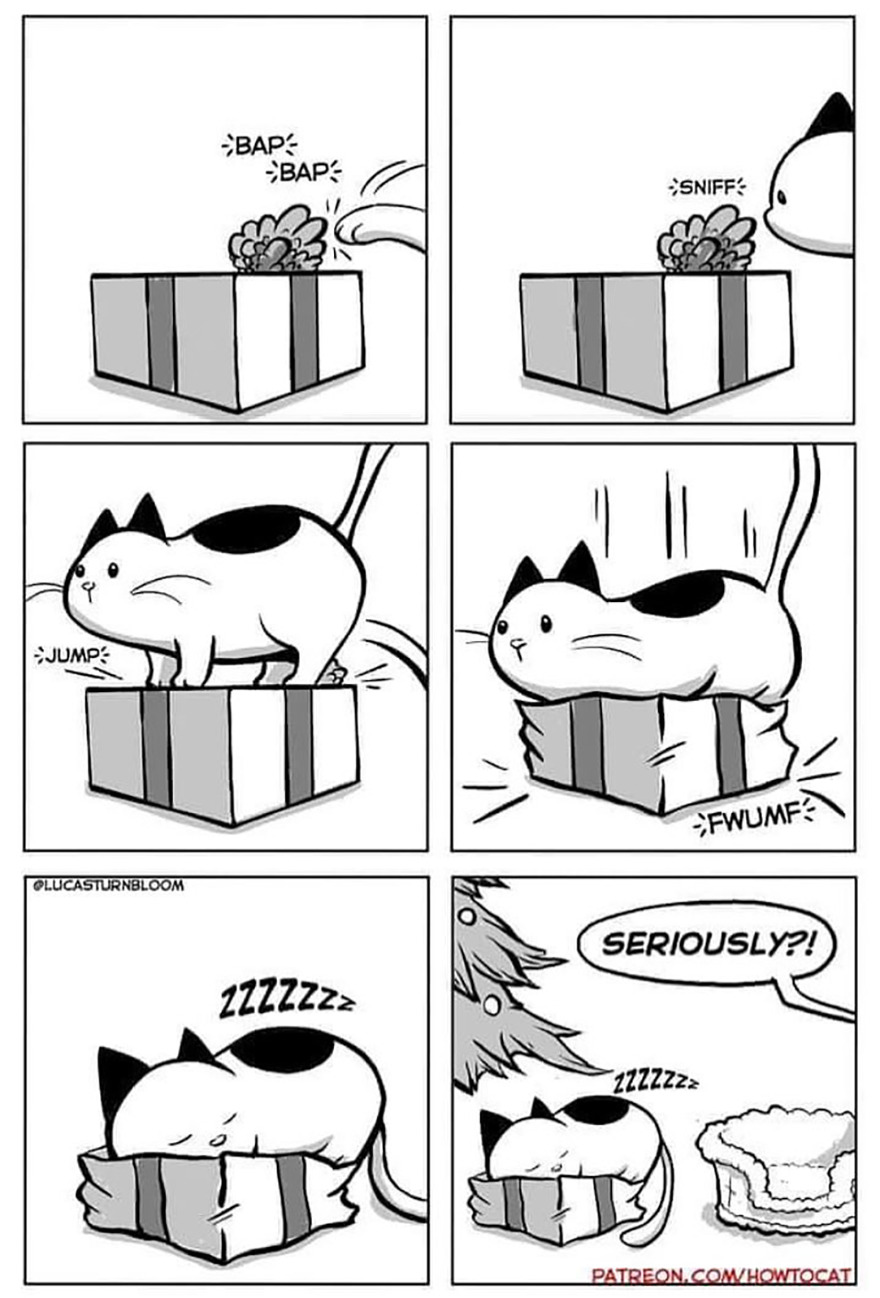 New Comics Illustrating The Funny Life Of A Kitten Who Found A New Home