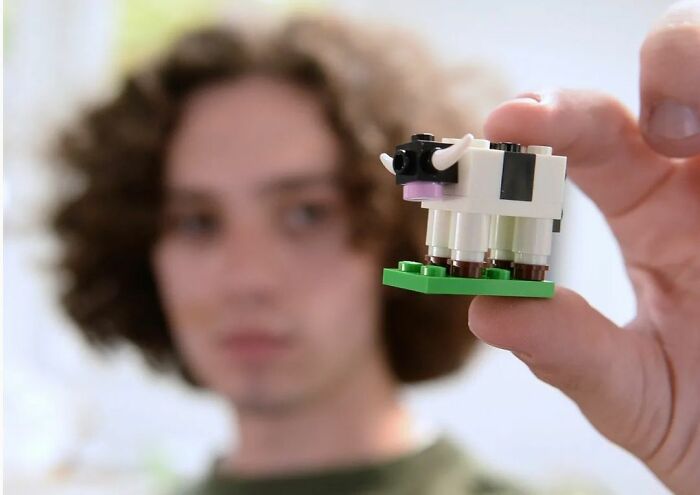 Sustainable Smiles: Teen Uses Old LEGO To Create Unique Sets For Struggling Kids