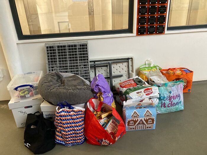 The Smokey Project: A Story Of How Rescuing A Dog Inspired Me To Help Rescue Centers The Smokey Project: A Story Of How Rescuing A Dog Inspired Me To Help Rescue Centers