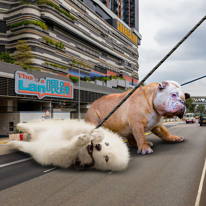 Digital Artist Shows What Hong Kong Would Be Like If Giant Animals Invaded It (34 Pics)