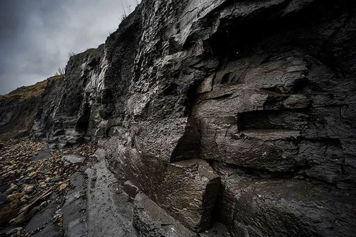 Men Discover Perfectly Preserved Skull Of Prehistoric Predator That Lived 150 Million Years Ago