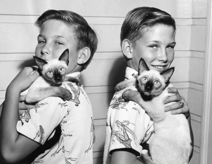 56 Vintage Photos Of Cats Posing With Famous People And Interesting Personalities (New Pics)