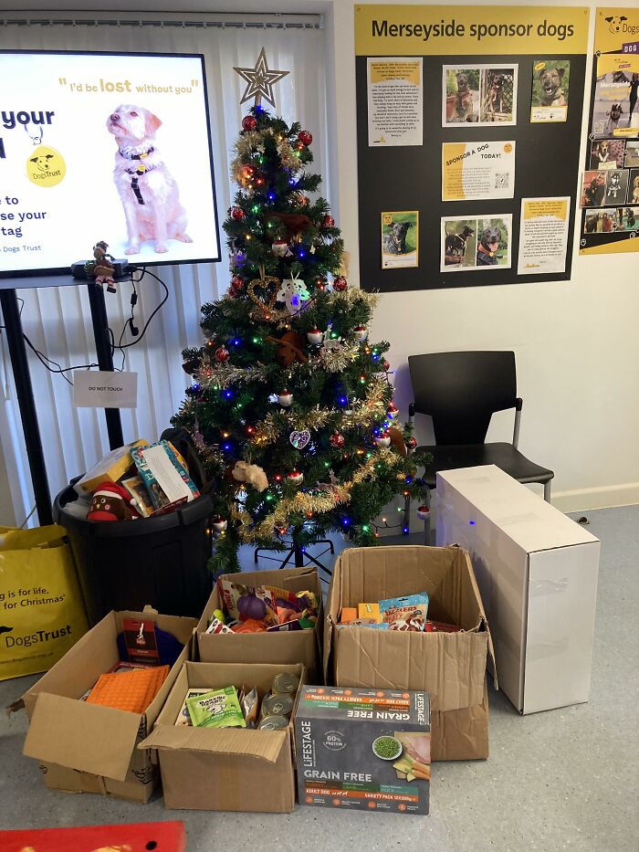 The Smokey Project: A Story Of How Rescuing A Dog Inspired Me To Help Rescue Centers The Smokey Project: A Story Of How Rescuing A Dog Inspired Me To Help Rescue Centers