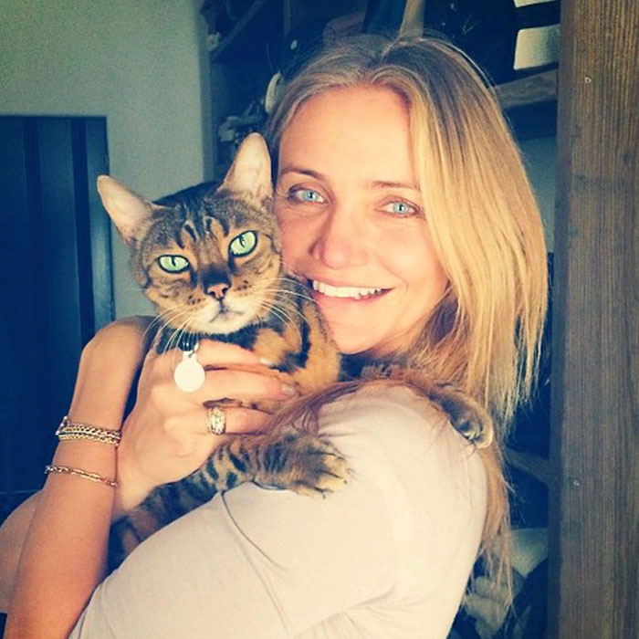 “I Don’t Care”: Cameron Diaz Breaks “Toxic” Hollywood Habit Of Focusing On Women’s Looks “I Don’t Care”: Cameron Diaz Breaks “Toxic” Hollywood Habit Of Focusing On Women’s Looks