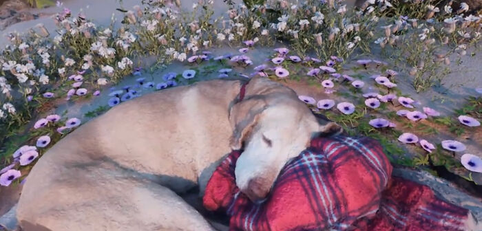 To Cope With His Grief, Man Creates A World Where He Can Keep Visiting His Pooch Who Passed Away To Cope With His Grief, Man Creates A World Where He Can Keep Visiting His Pooch Who Passed Away