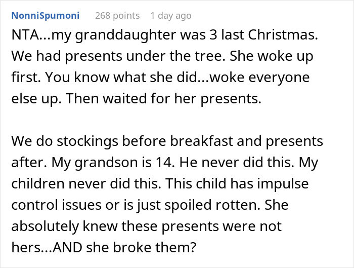“AITA For Suggesting We Lock Up The Christmas Presents After What My Niece Did Last Year?”